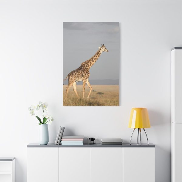 91655-377.jpg Giraffe in the Nature Standard Canvas