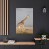 91655-378.jpg Giraffe in the Nature Standard Canvas