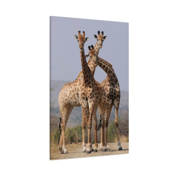 91655-380.jpg Giraffe Family Standard Canvas