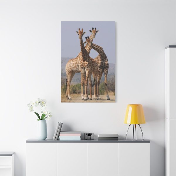 91655-382.jpg Giraffe Family Standard Canvas