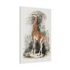 91655-385.jpg Vintage Illustration by Georges Cuvier Standard Canvas