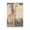 91655-396.jpg Study of the Giraffe by Nicolas Hüet Standard Canvas