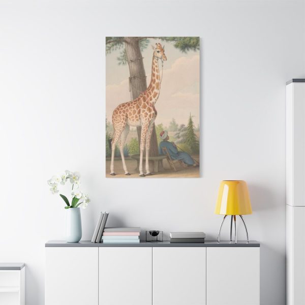 91655-397.jpg Study of the Giraffe by Nicolas Hüet Standard Canvas