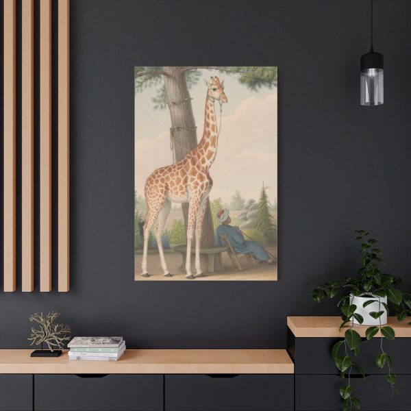 91655-398.jpg Study of the Giraffe by Nicolas Hüet Standard Canvas