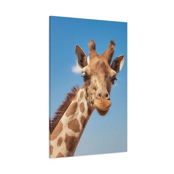 91655-400.jpg Giraffe Cameloparadalis Fauna Standard Canvas