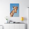 91655-402.jpg Giraffe Cameloparadalis Fauna Standard Canvas