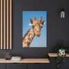 91655-403.jpg Giraffe Cameloparadalis Fauna Standard Canvas