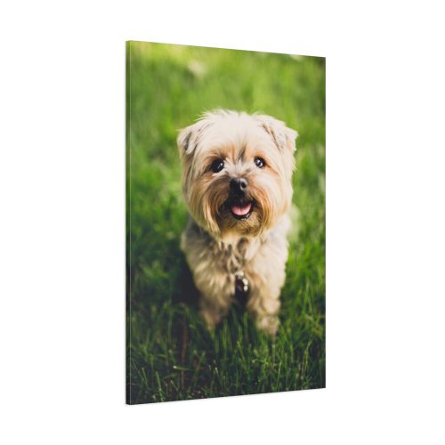 91655-45.jpg Little Puppy on the Grass Standard Canvas