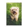 91655-46.jpg Little Puppy on the Grass Standard Canvas