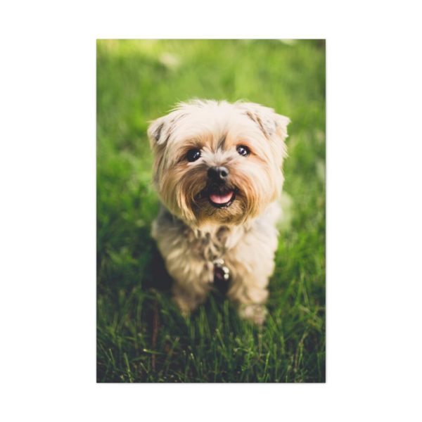 91655-46.jpg Little Puppy on the Grass Standard Canvas
