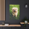 91655-48.jpg Little Puppy on the Grass Standard Canvas