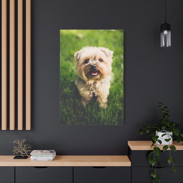 91655-48.jpg Little Puppy on the Grass Standard Canvas