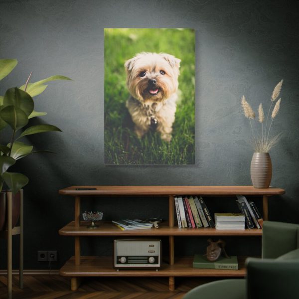 91655-49.jpg Little Puppy on the Grass Standard Canvas