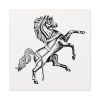 91663-141.jpg Horse Standard Canvas
