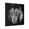 91663-5.jpg Lions in the Grass Standard Canvas
