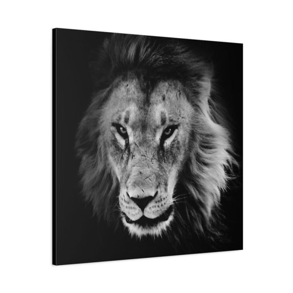 91663-5.jpg Lions in the Grass Standard Canvas