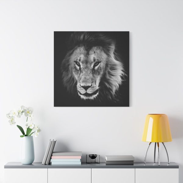 91663-7.jpg Lions in the Grass Standard Canvas