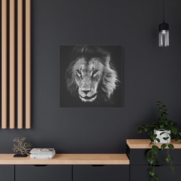 91663-8.jpg Lions in the Grass Standard Canvas