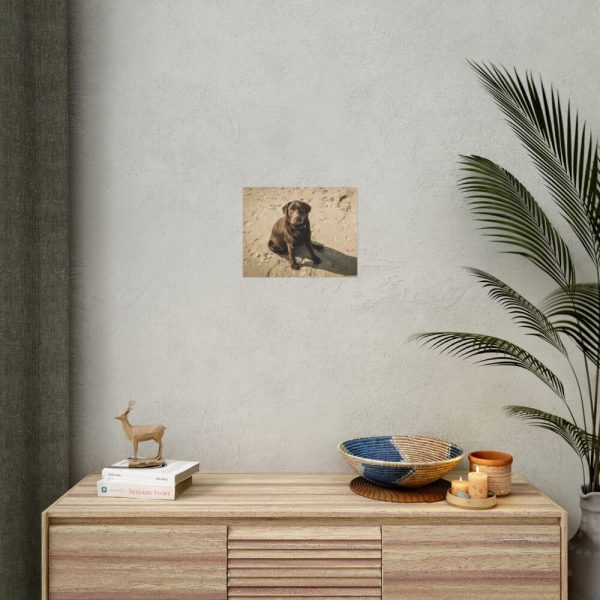 Labrador On the Sand Poster