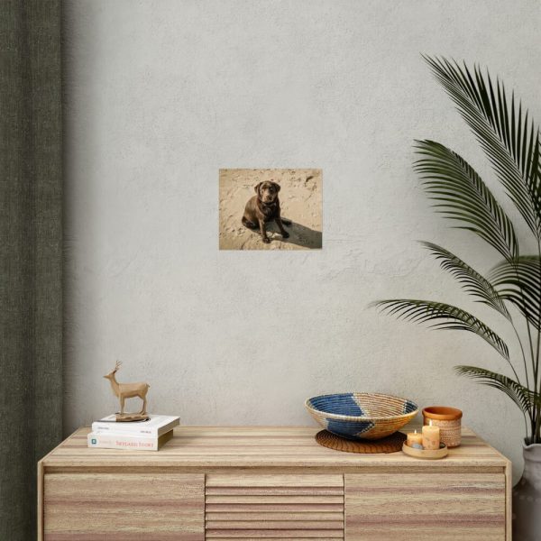 Labrador On the Sand Poster