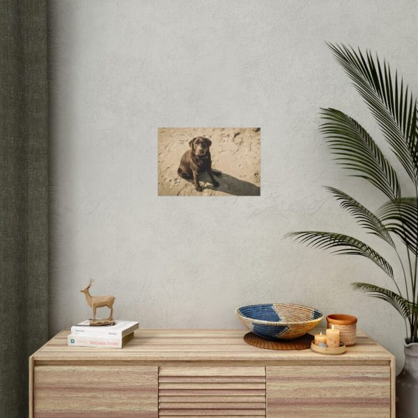 Labrador On the Sand Poster