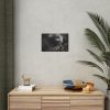 Giraffe Black Eye Poster