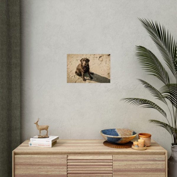 Labrador On the Sand Poster