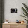 Giraffe Black Eye Poster