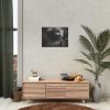 Giraffe Black Eye Poster