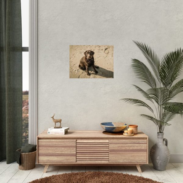 Labrador On the Sand Poster