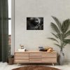 Giraffe Black Eye Poster