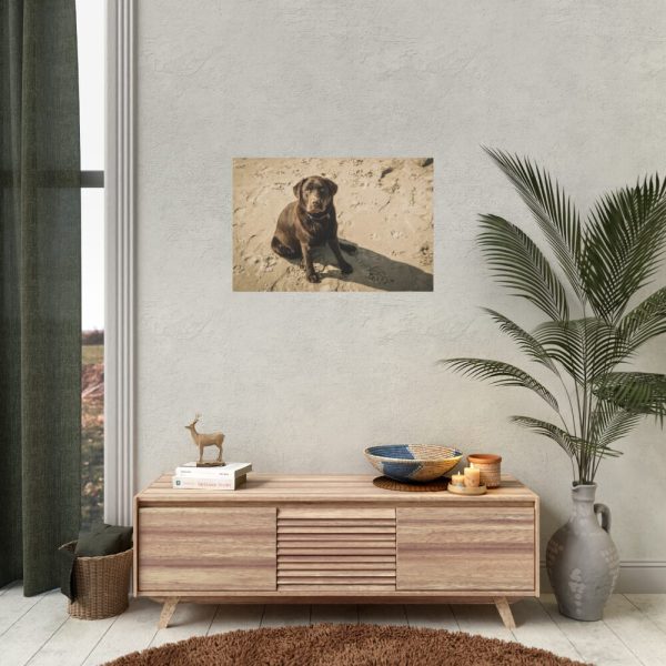 Labrador On the Sand Poster