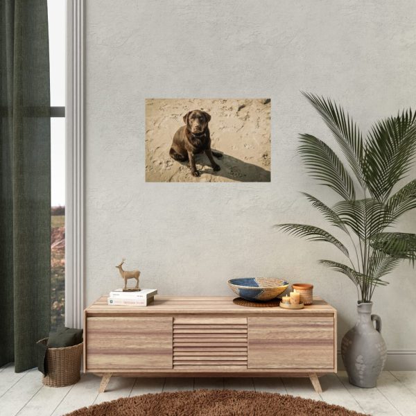 Labrador On the Sand Poster