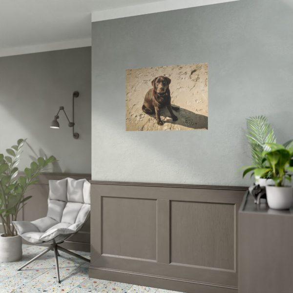 Labrador On the Sand Poster