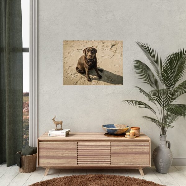 Labrador On the Sand Poster