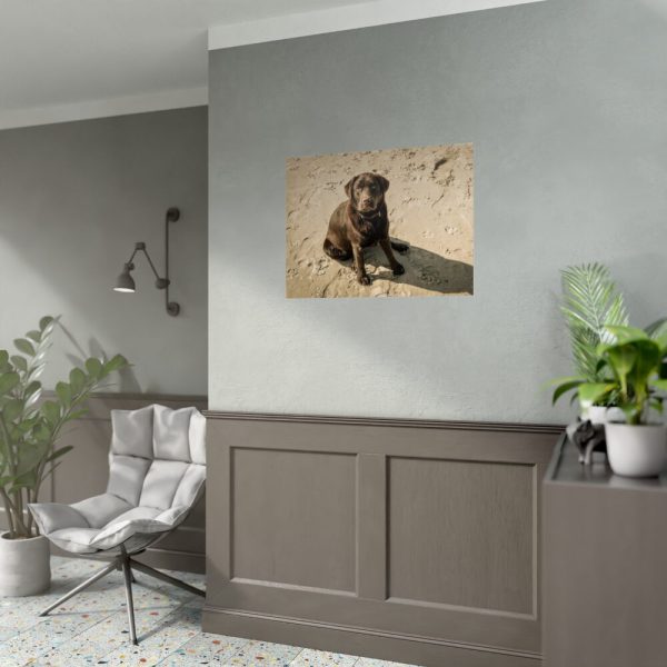 Labrador On the Sand Poster