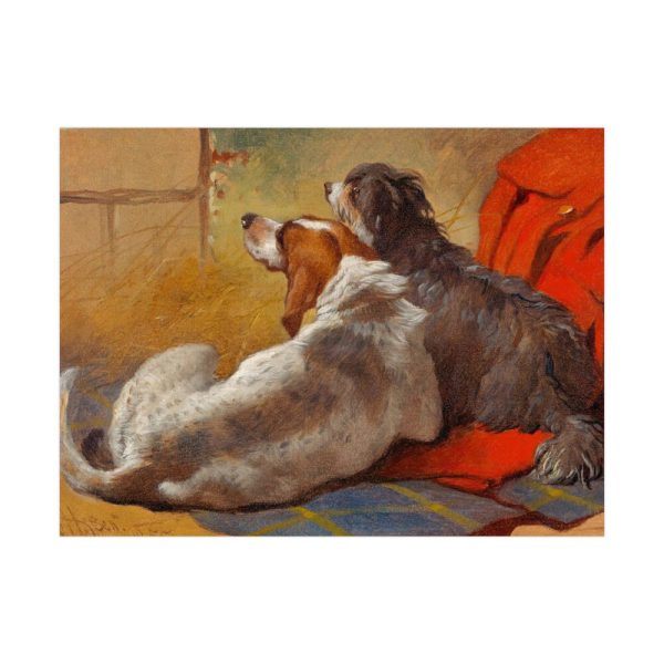 92385.jpg A Hound and a Bearded Collie by John Frederick Herring Poster