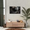 Giraffe Black Eye Poster