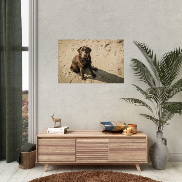Labrador On the Sand Poster