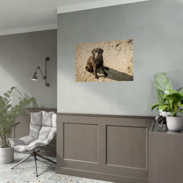 Labrador On the Sand Poster