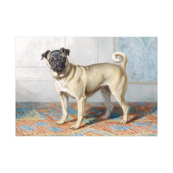 92408-126.jpg Portrait of Edwin Vom Rath’s Pug by Conradijn Cunaeus Poster