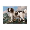 92408-132.jpg Brown and White Norfolk or Water Spaniel by George Stubbs Poster