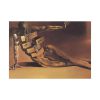 92408-171.jpg The Anthropomorphic Cabinet by Salvador Dali Poster