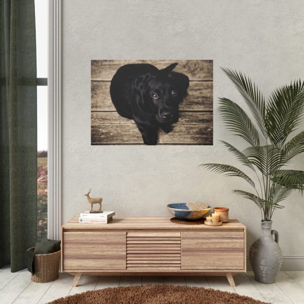 Black Labrador Dog Sitting on Wooden Floor Poster