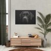 92408-235.jpg Black Dog Face Close Up Poster