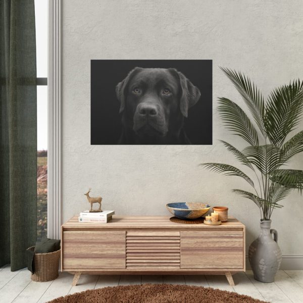 92408-235.jpg Black Dog Face Close Up Poster