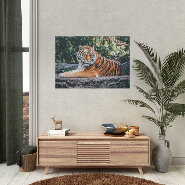 Tiger Sitting on Rock  Poster