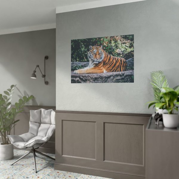 Tiger Sitting on Rock  Poster
