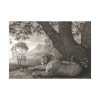 92408-309.jpg A Tyger by George Stubbs Poster