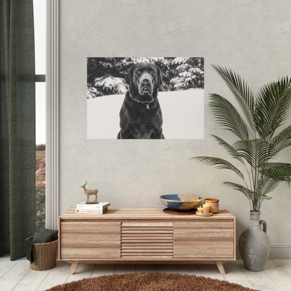 92408-319.jpg Puka the Chocolate Lab by Carol M. Highsmith Poster